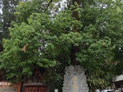 -兴教寺