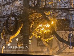 -毛辣果·酸(OHA复兴西路店)