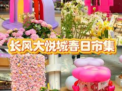 -上海长风大悦城