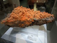 -湖南省地质博物馆