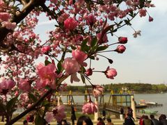 -昆山城市生态森林公园