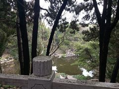 -叶家花园