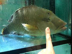 -翠恒酒家(宴会厅)