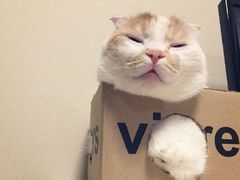 -麦当劳(昆山北门路店)