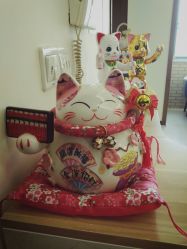 -齐伽生活馆·瑜伽·普拉提·阿育吠陀