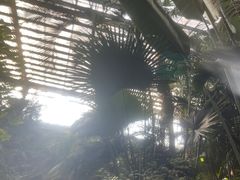 -龙达温泉生态城