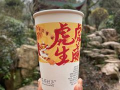 -茶颜悦色(长郡步行街口店)
