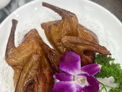 -鸽鸟轩(石岐店)
