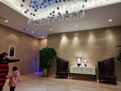-常州环球恐龙城维景国际大酒店