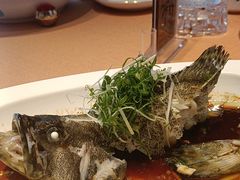 -顺峰(农展馆店)