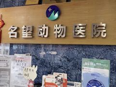 -瑞派名望志远动物医院·猫科·內科·异宠专科(直港大道店)