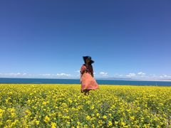 -青海湖国家重点风景名胜区