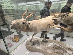 -北京中医药大学-中医药博物馆
