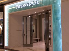 店面-Tiffany & Co.蒂芙尼
(天津万象城店)