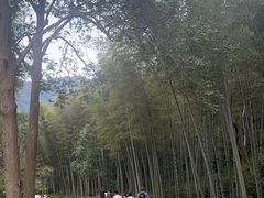 -黄公望隐居地