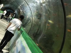 -东方巨龟苑景区