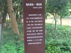 -海珠湖公园