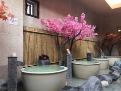 -蓝鲸湾汤泉(包河店)