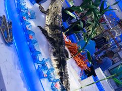 -澜悦港海鲜体验主题餐厅