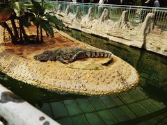 -石家庄市动物园