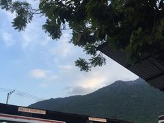 -100蛋泥浆浴