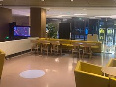 -北京临空智选假日酒店