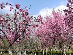 -白塘生态植物园