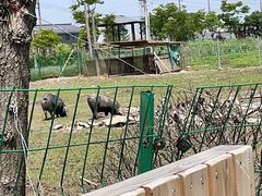 -菊园百果园