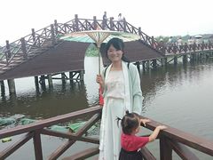 -荷塘月色湿地公园·向阳花洲
