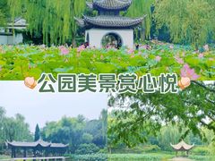 -陶然亭公园