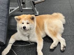 -YCHL Studios健身工作室(市二宫店)