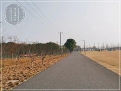 -嘉北郊野公园