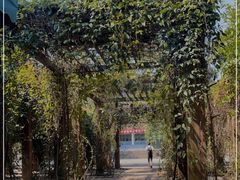 -中国科学院西双版纳热带植物园