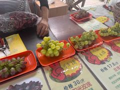 -马陆小张葡萄园农家乐