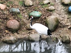 -常州淹城野生动物世界
