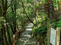 -铁山坪森林公园