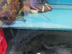 -聚德福海鲜家常菜(刘庄店)