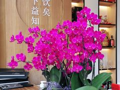 大堂-圆苑(金茂店)