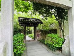 -西溪国家湿地公园