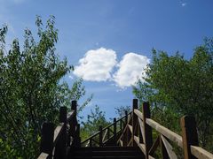 -大岭沟猕猴桃谷风景区