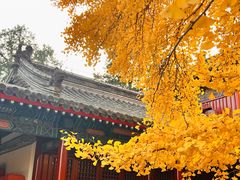 -承恩寺