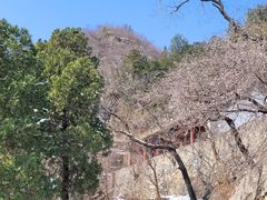 -北京鹫峰国家森林公园