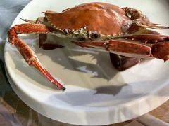 -大锅强·蒸海鲜青岛菜(金沙滩店)