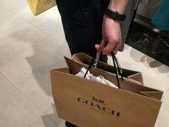 -COACH蔻驰(百联奥特莱斯广场店)