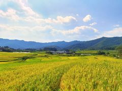 -冠豸山景区