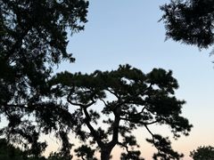 -香山公园-东宫门售票处