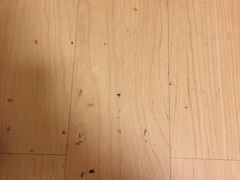 -7天酒店(北京常营地铁站朝阳医院常营院区店)
