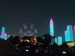 -莲花山公园