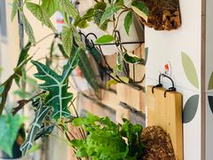 -Rabbit Cafe私房西餐甜点咖啡(栖霞路店)