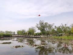 -绿堤公园